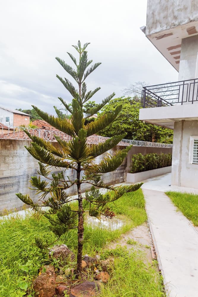 LOFT Bragança Apart-hotel