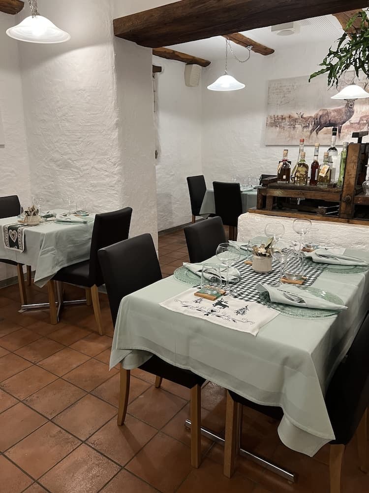 Gasthaus Alpina Salouf photo 4