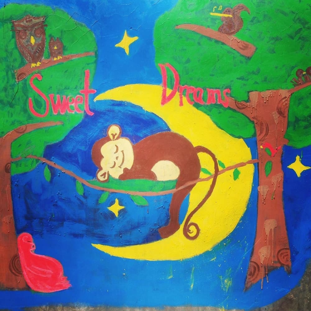 Sweet Dreams Guest House photo 8