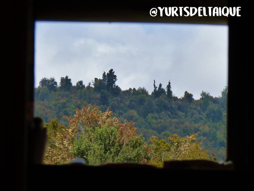 Yurt in Puyehue with Volcano Views photo 8