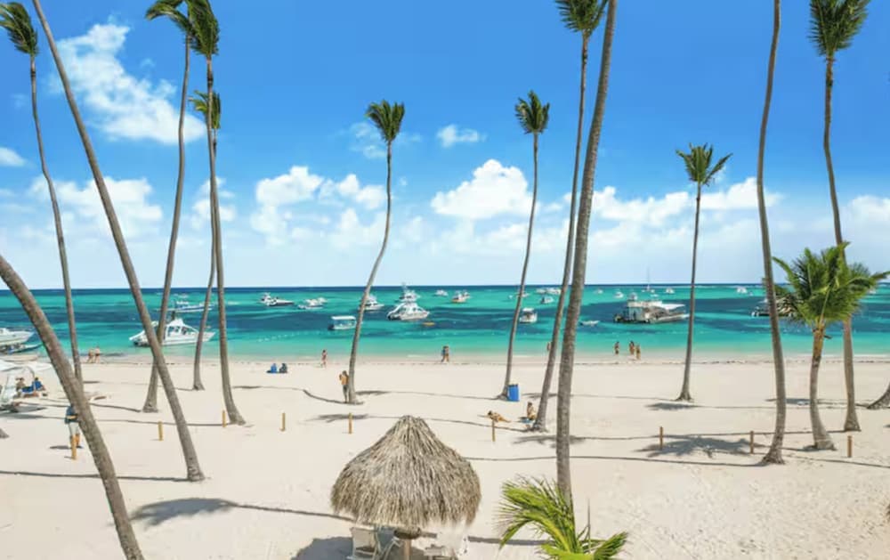 TROPICAL RETREAT at PLAYA LOS CORALES photo 9