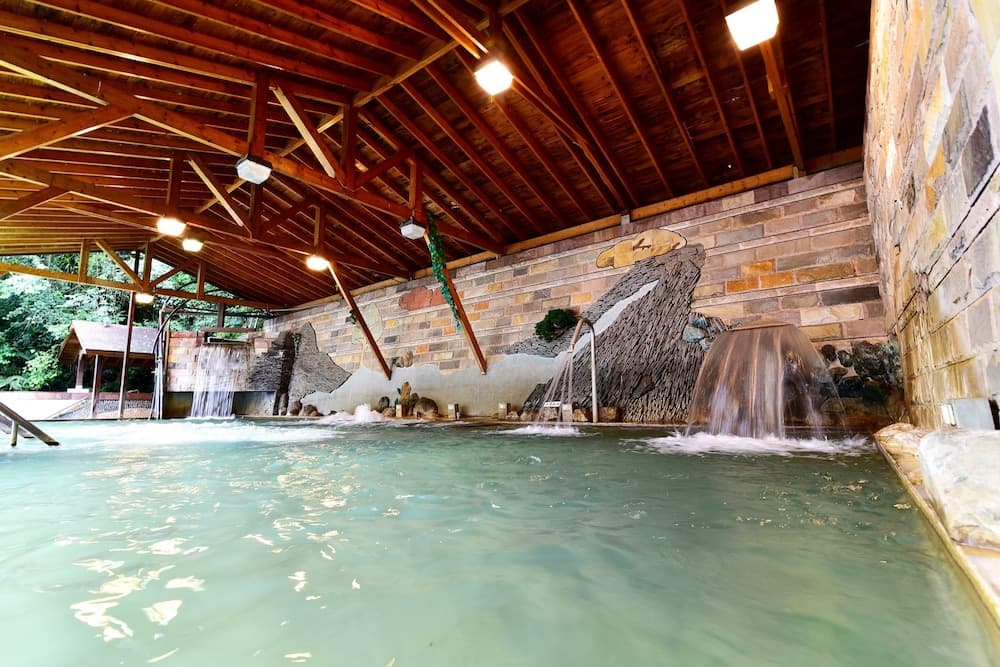 Jenq Yang Hotspring Hotel photo 3