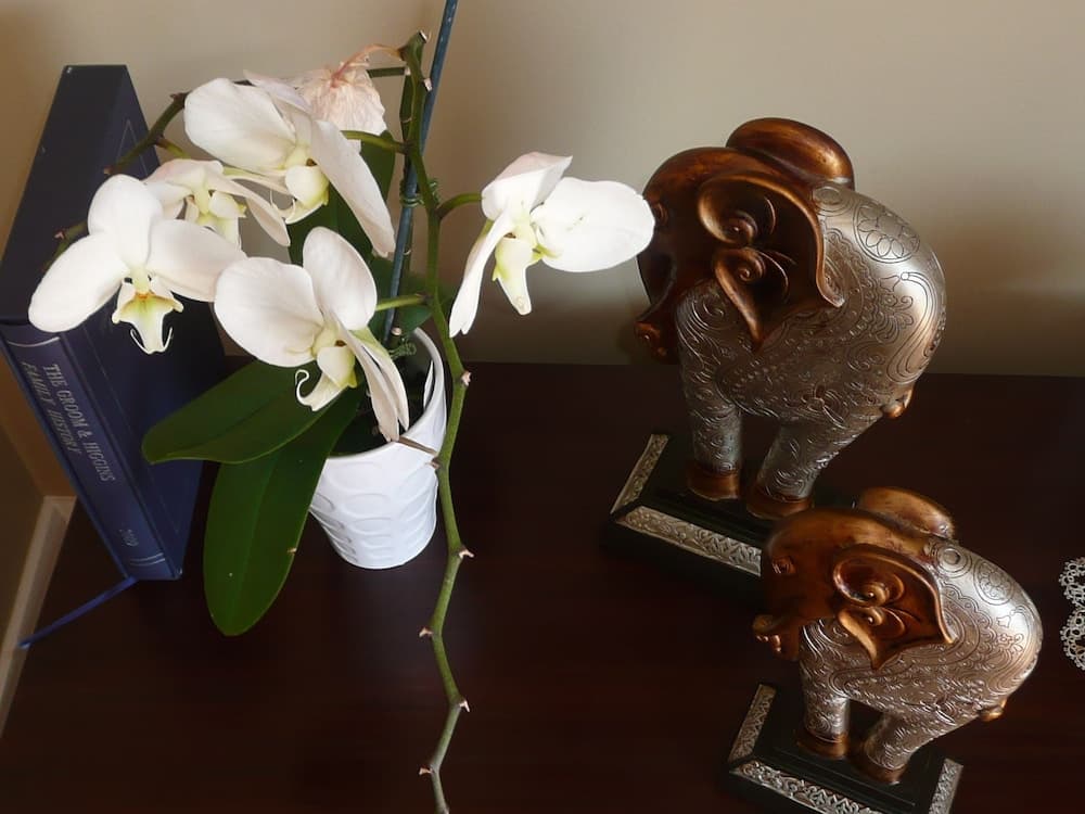 Kershaw House Boutique Accommodation photo 2