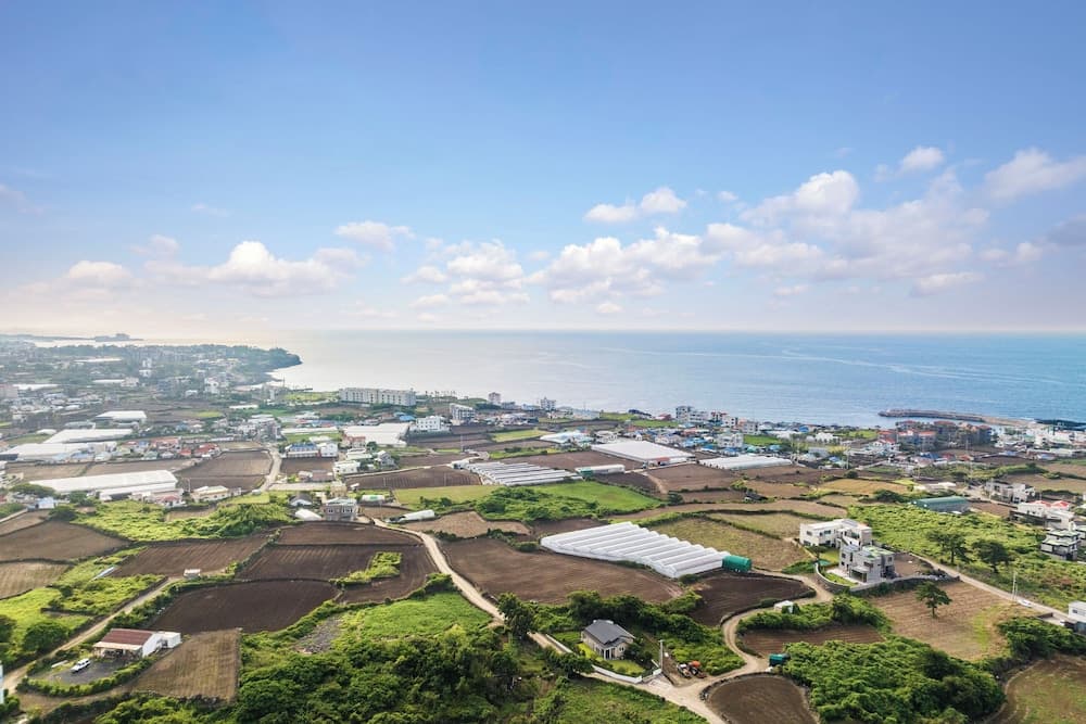 Aewol Bada Hyanggi photo 3
