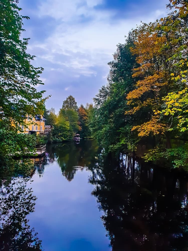 The Old Mill photo 6