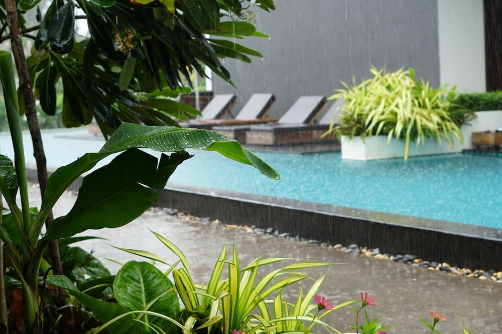 Ren Resort photo 9