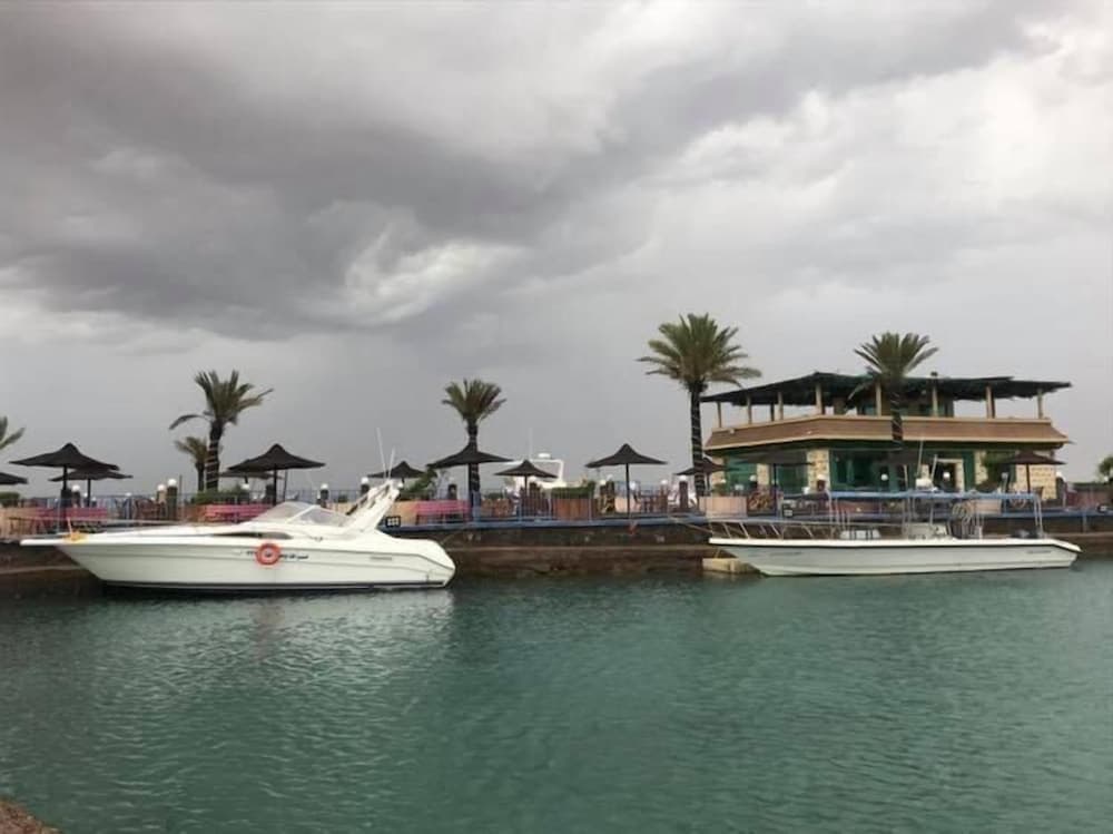 Dolphin Beach Resort photo 2