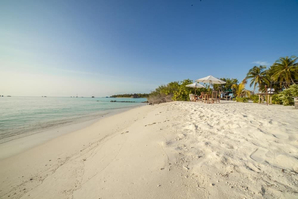 Portia Hotel & Spa photo 7