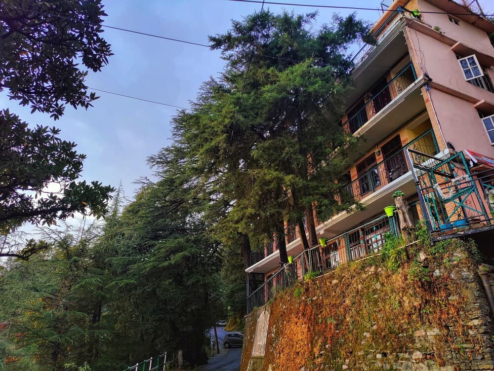 Jakhu Vibes photo 6