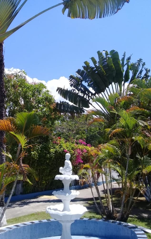 Palm Tree Guest House photo 3