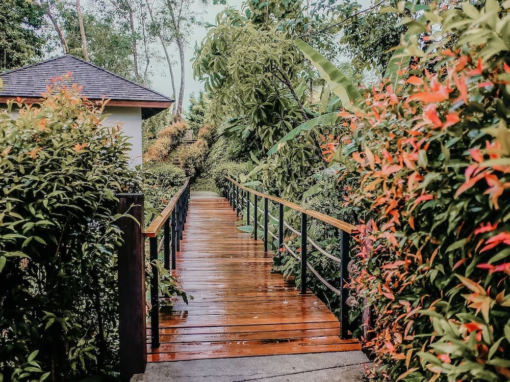 The Mangrove Panwa Phuket Resort photo 8
