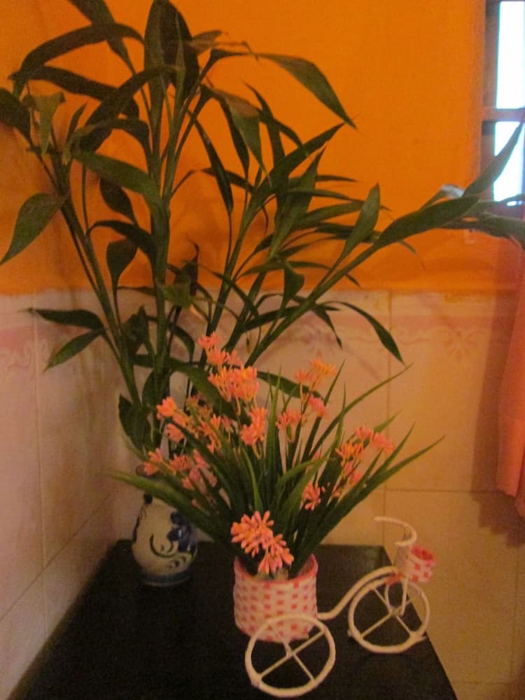 Eco-Home photo 8
