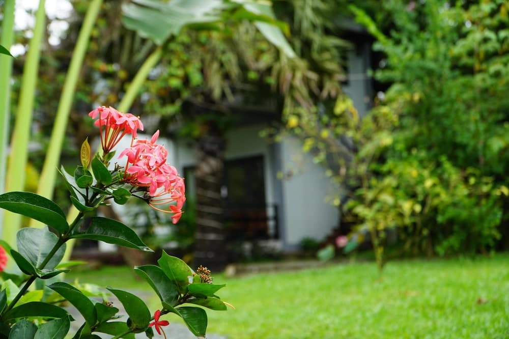 Salty River Resort photo 9