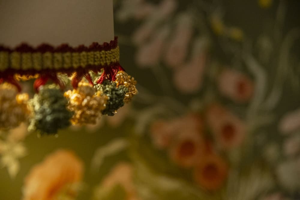 Charming Antas House photo 4