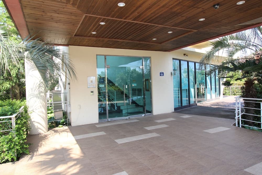 Palm Hill Pension photo 4