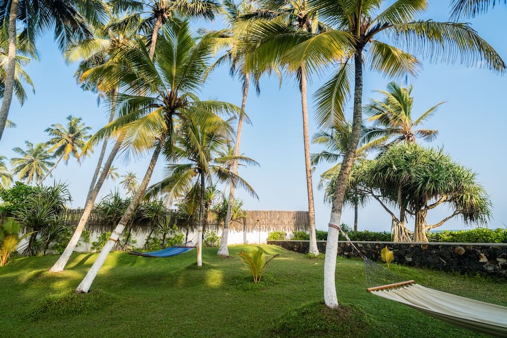 Apa Villa Thalpe photo 3