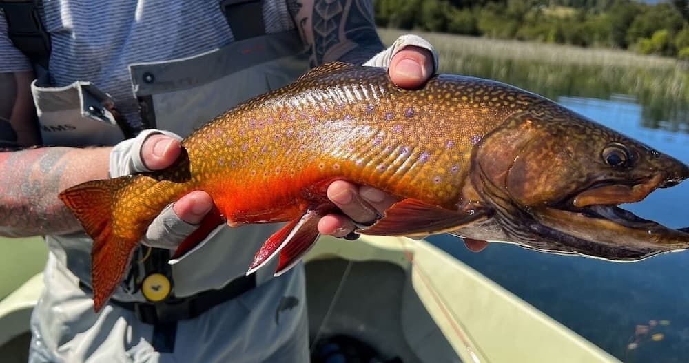 Barraco Lodge photo 9