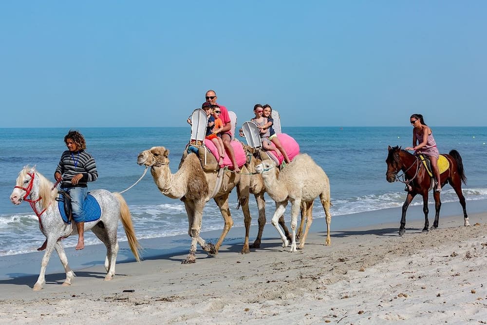 Palm Beach Club Djerba photo 4