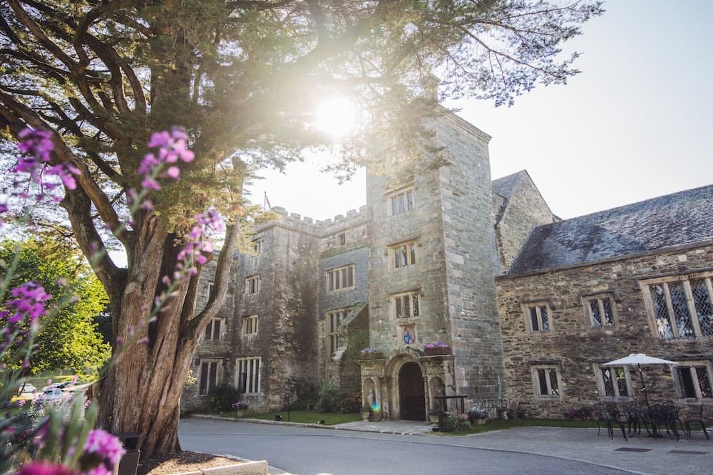 Boringdon Hall Hotel and Spa photo 4