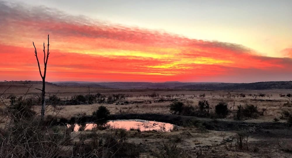 Nambiti Plains Private Game Lodge photo 5