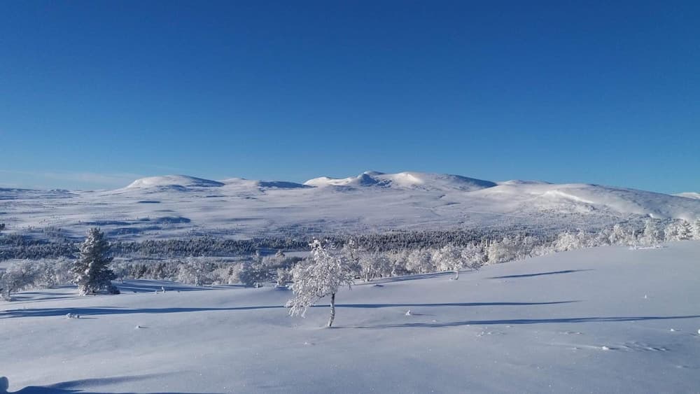 Storsätra Fjällhotell photo 3