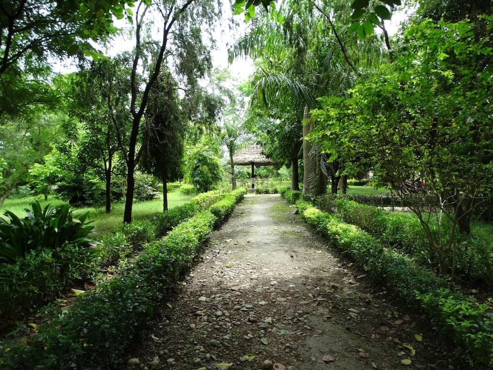 Nepal Wildlife Resort photo 8