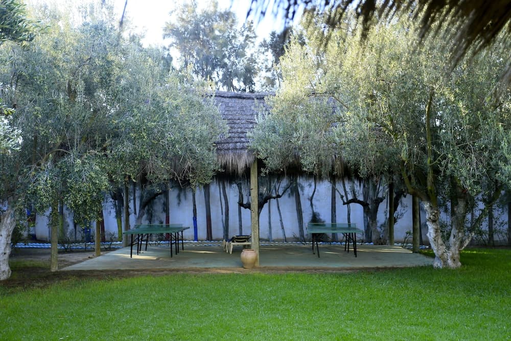 Hammamet Garden Resort and Spa photo 9