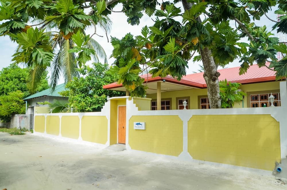 Whale Shark Inn Maldives photo 3