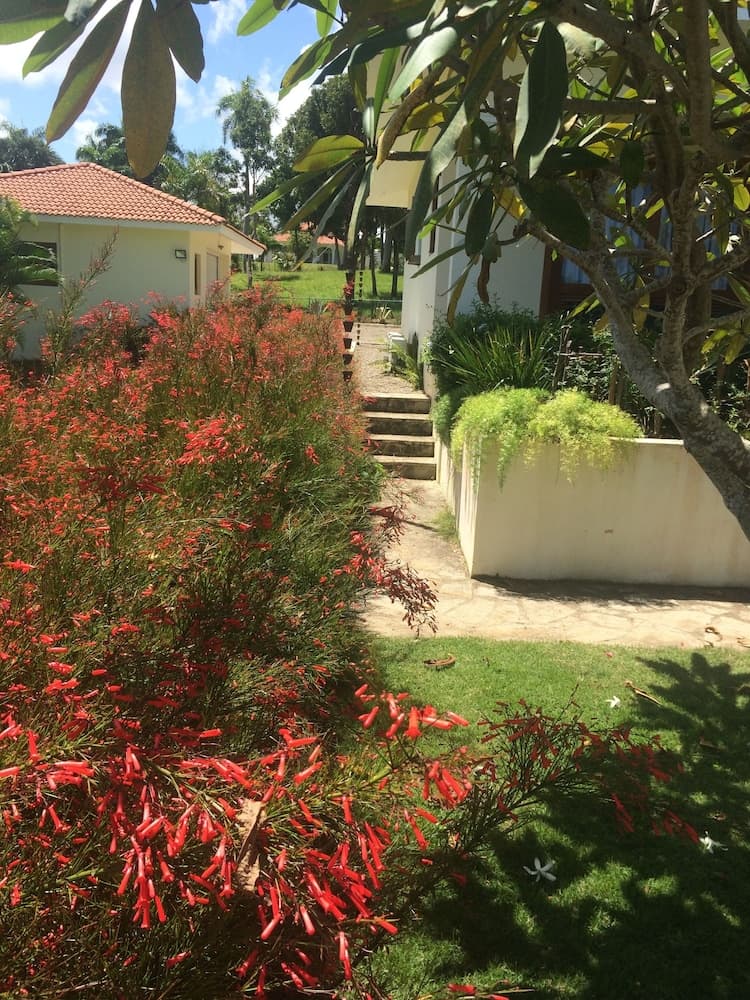 Villa Jacaranda Sosua photo 4