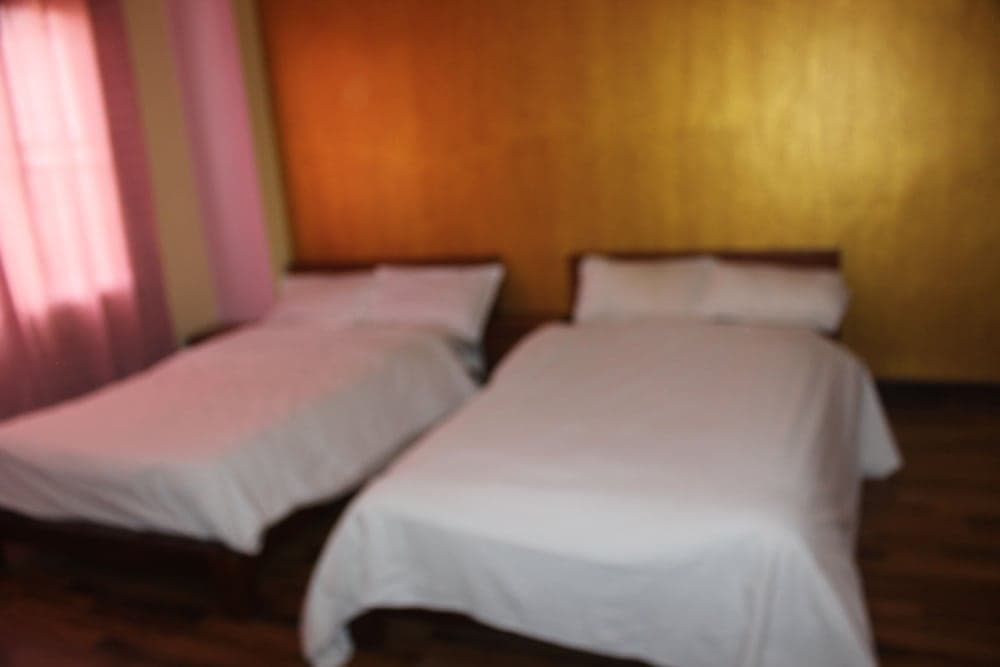 Manasalu Homestay photo 3
