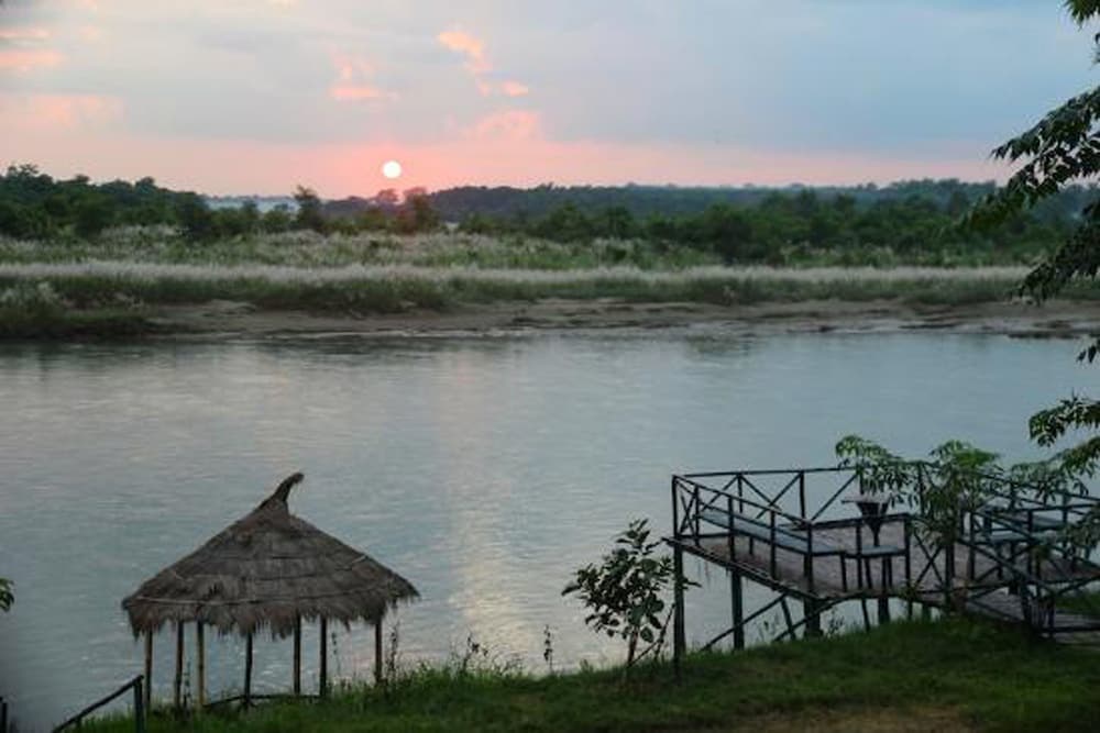 Jungle Sunset Camp photo 9