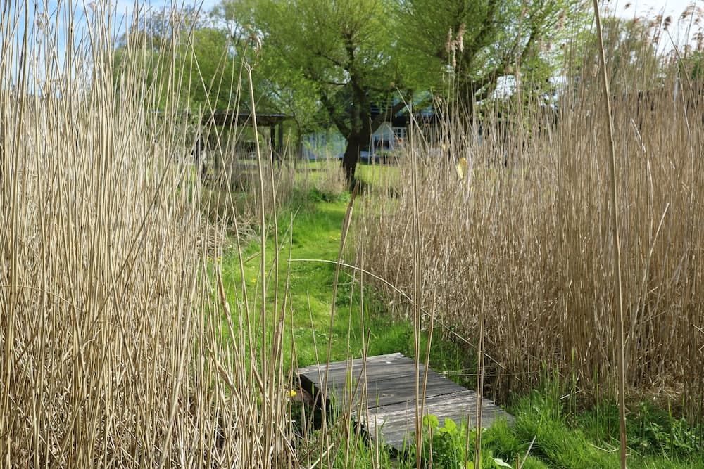 Birkelygaard Bed & Breakfast photo 9