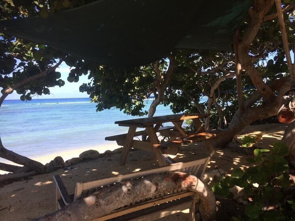 Suite 4 Beach Shuttle Concierge Garden Cats photo 9