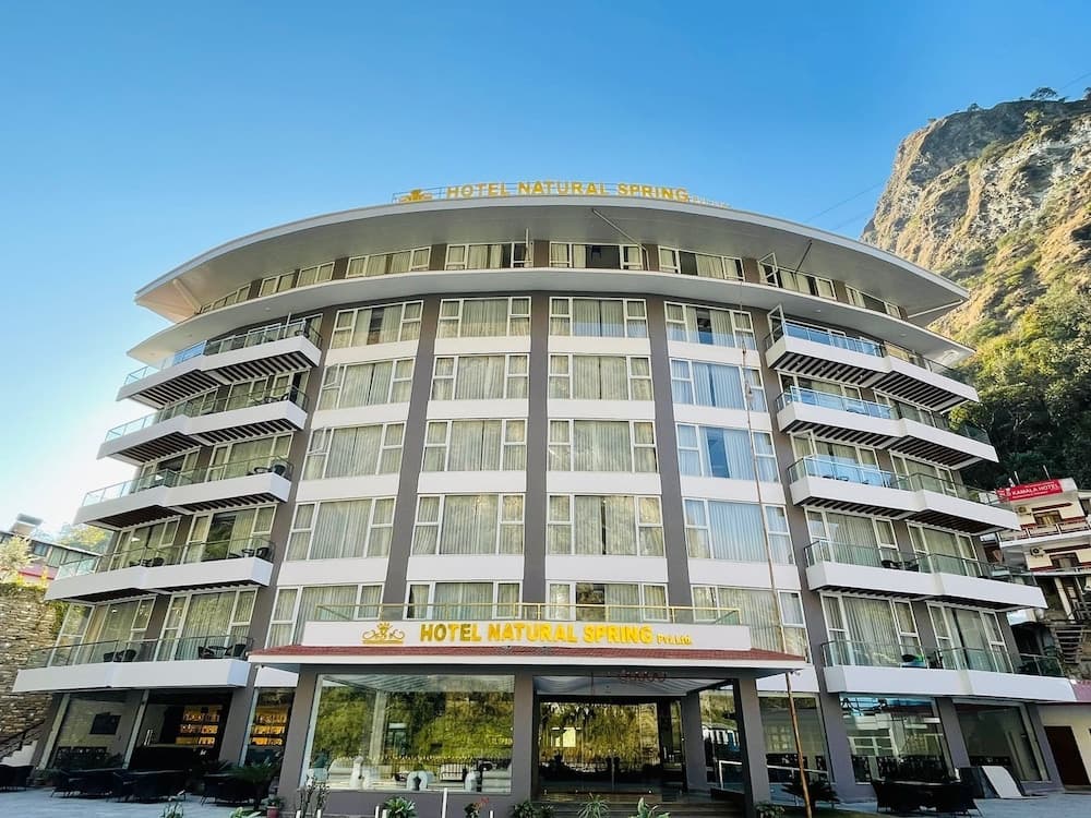 Hotel Natural Spring Pvt.Ltd photo 5