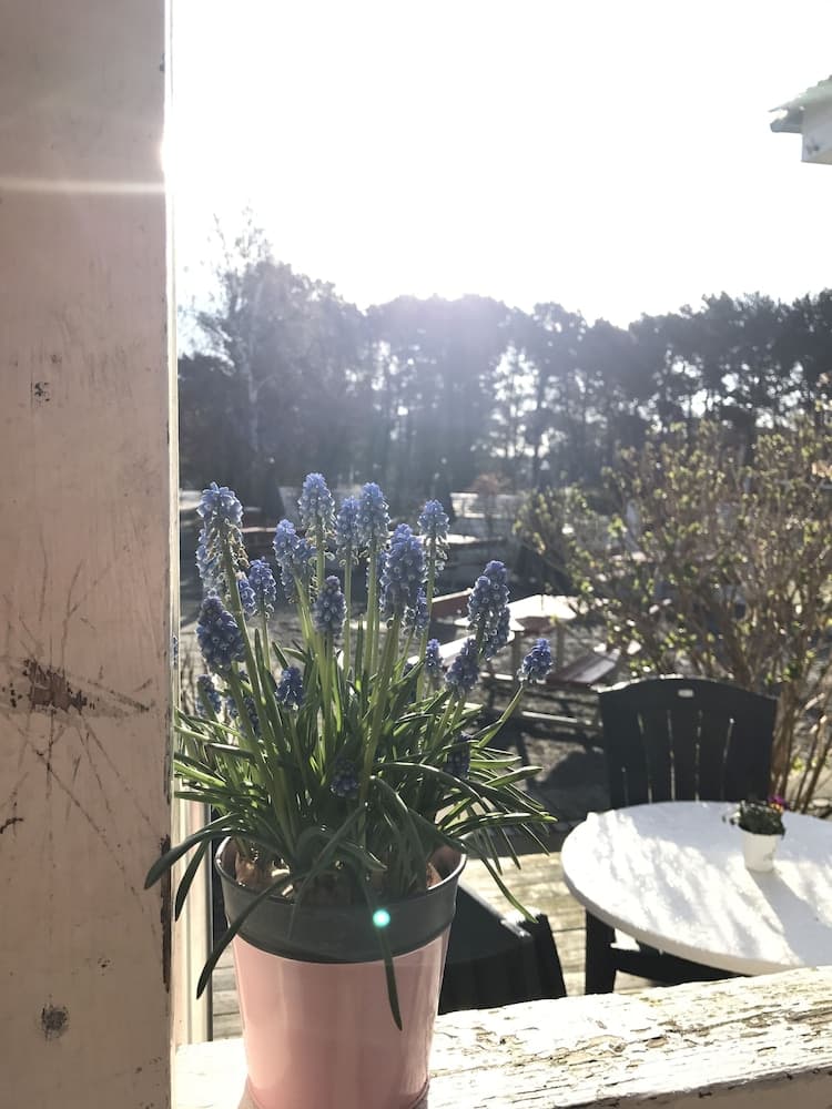 Rønne Vandrerhjem - Hostel photo 4