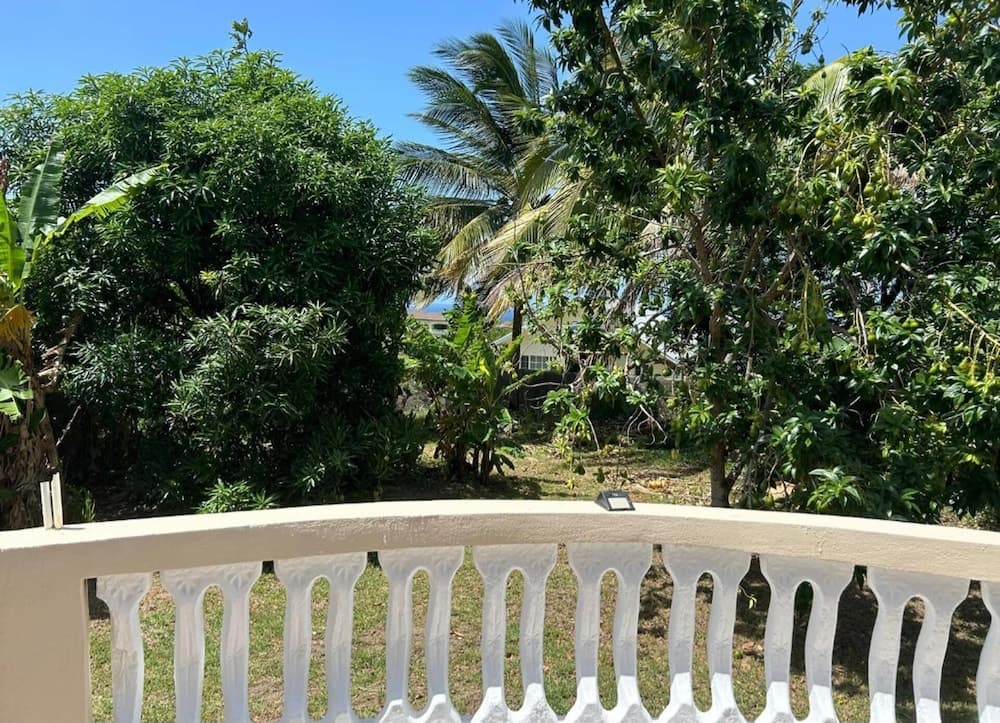 Tropical Paradise Retreat in St Ann's photo 9