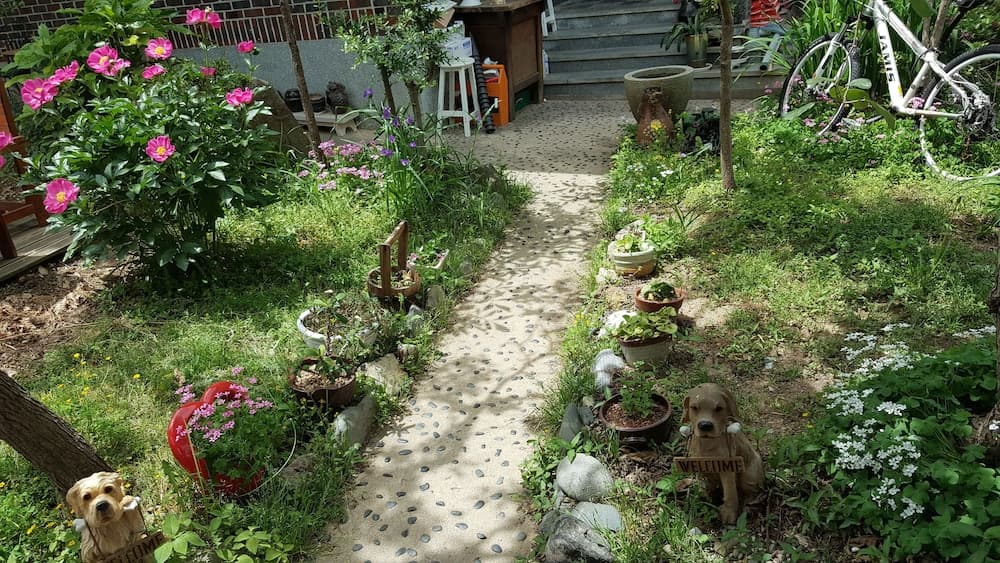 Camino B&B photo 3