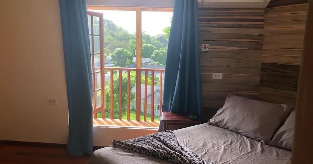 The Blue Mahoe Treehouse photo 7