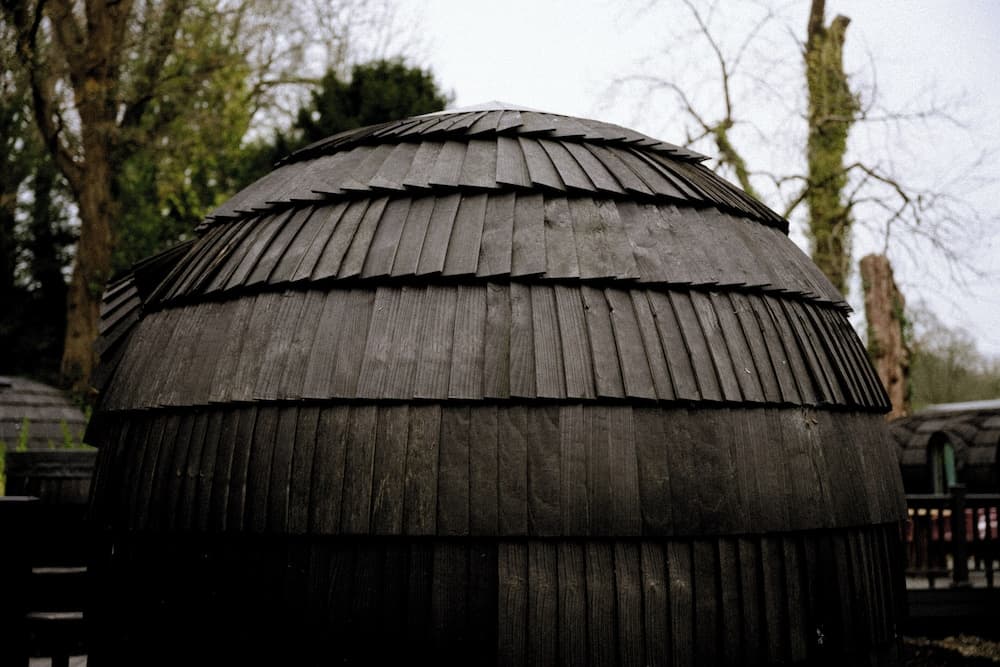 The Forest at Mount Congreve Gardens photo 4