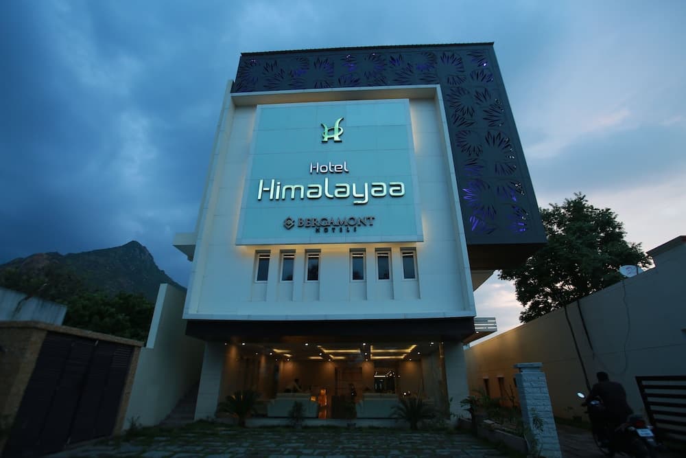 Hotel Himalayaa photo 3