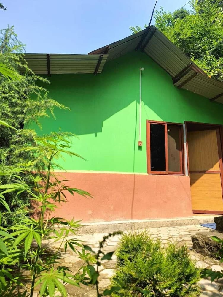 Treez Resort Pvt Ltd photo 6