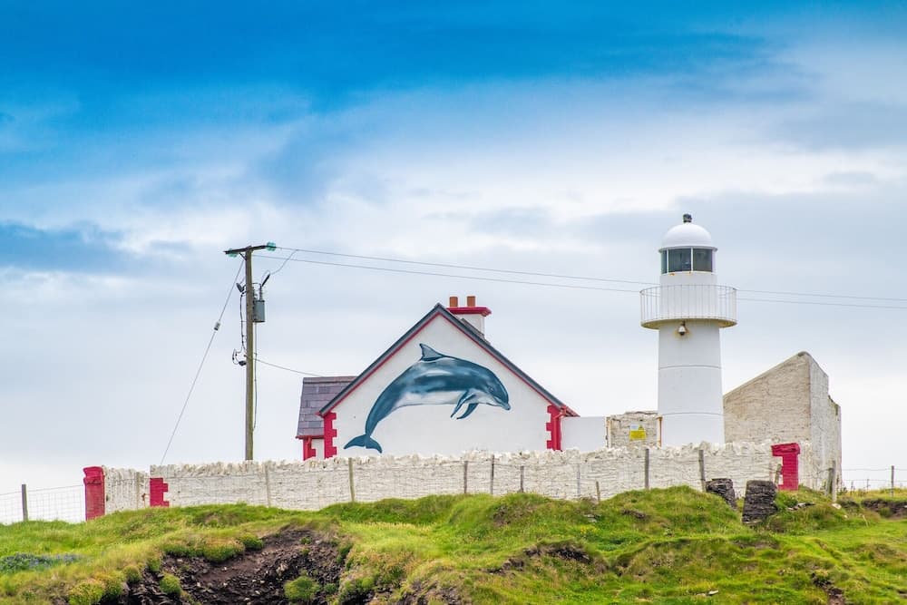 Dingle Harbour Cottages photo 7