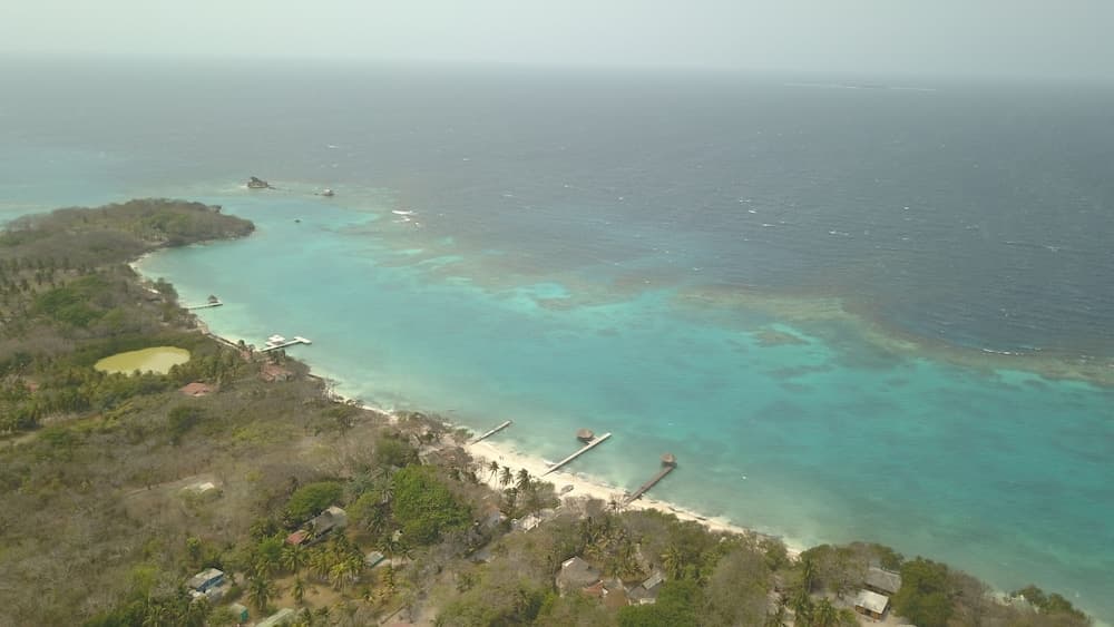 Ecohotel Las Palmeras photo 3