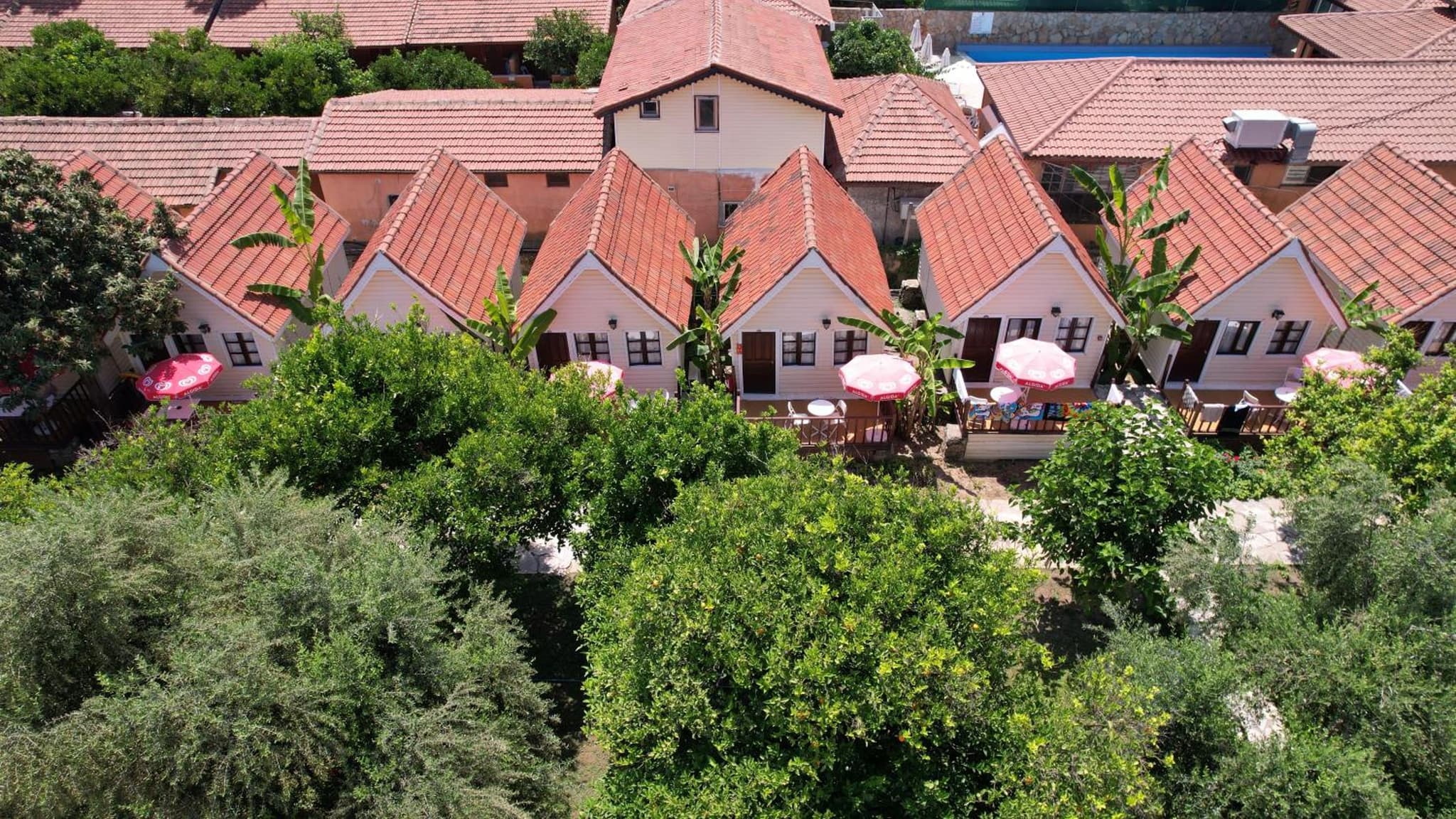 Clover Magic Nova Beach Hotel photo 4