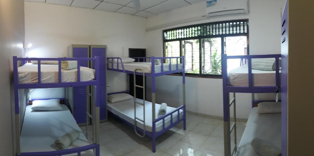 Bed in 6-Bed Mixed Dormitory Room