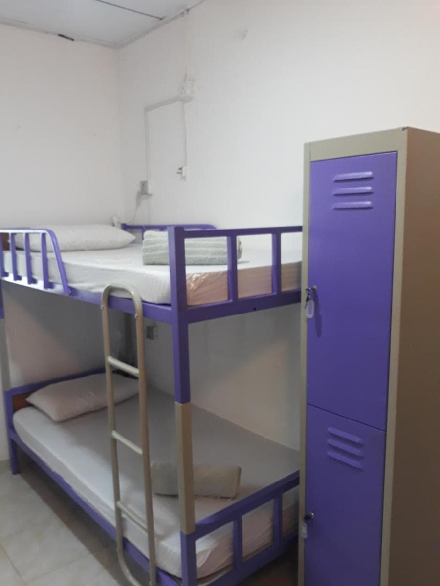 Bed in 6-Bed Mixed Dormitory Room