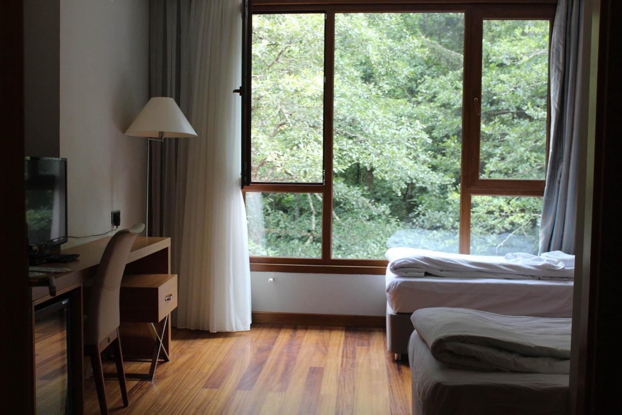 Deluxe Double or Twin Room with River View