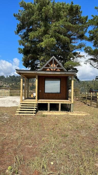 One-Bedroom House