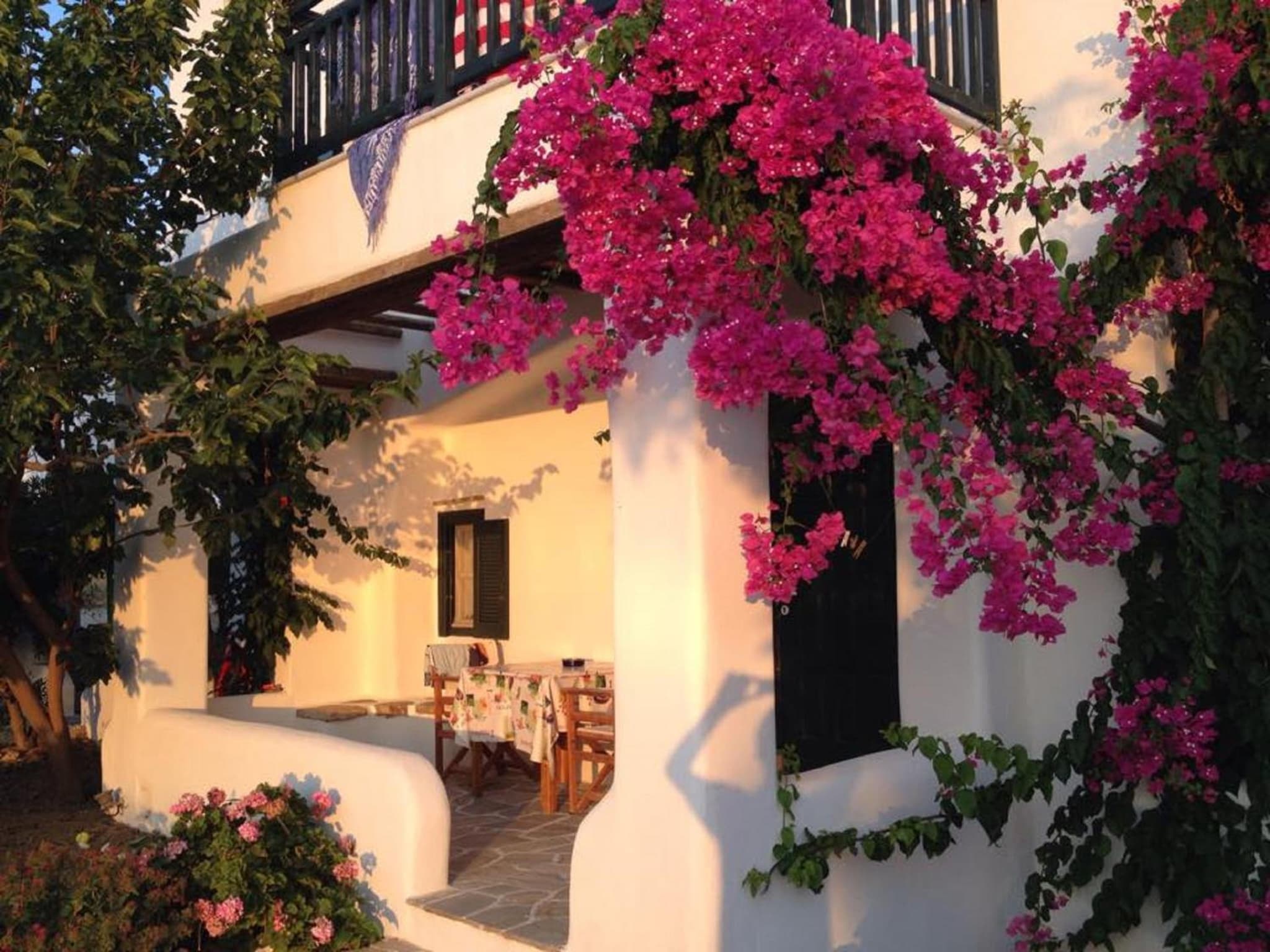 Studio with Pool View (3 Adults)