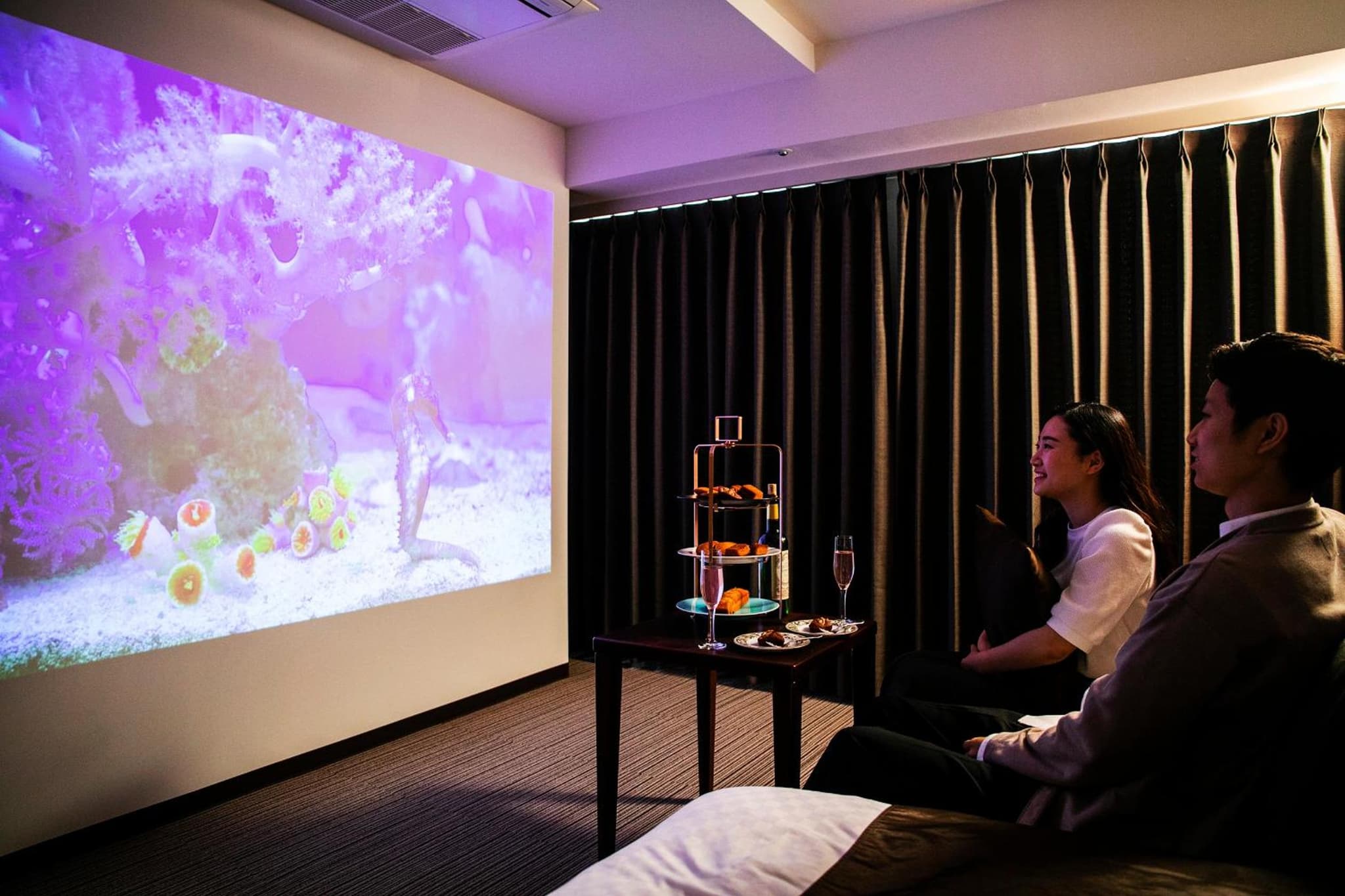 Twin Room with Room theater - Non-Smoking